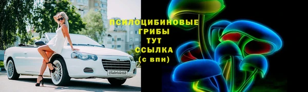 мяу мяу мука Покачи