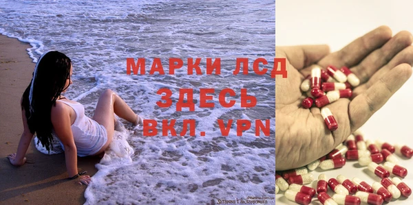 мяу мяу мука Покачи