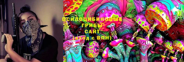 мяу мяу мука Покачи