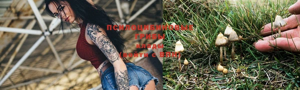 СК Покров