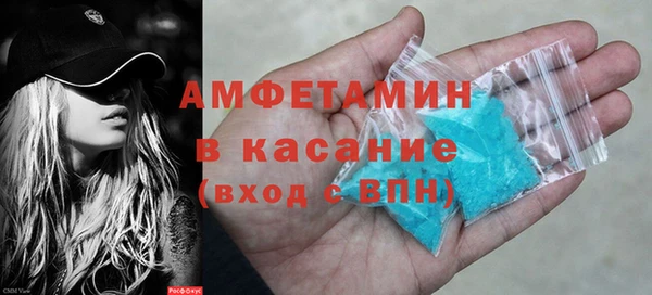 прущие грибы Переславль-Залесский