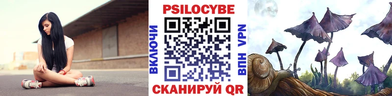 Купить где  Яхрома  Галлюциногенные грибы Magic Shrooms 